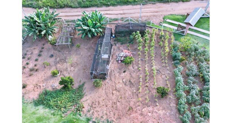 Chacara à venda em Pedra Bela no Bairro Área Rural