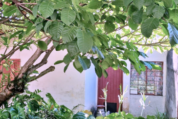 Terreno à Venda no Bairro do Parque São Domingos – Rua Agostinho dos Santos