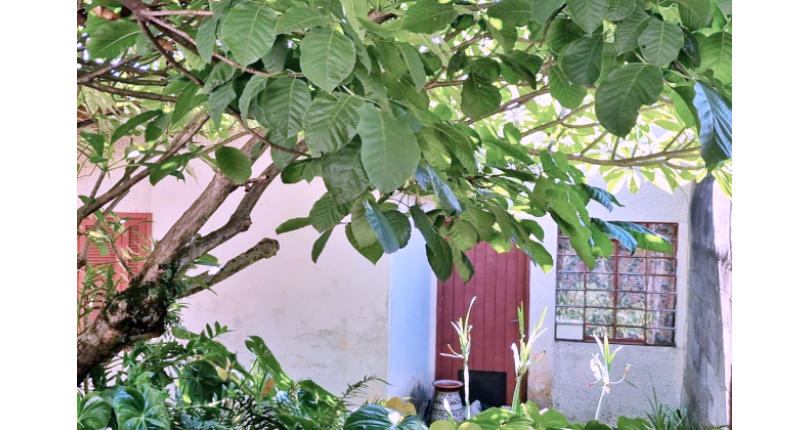 Terreno à Venda no Bairro do Parque São Domingos – Rua Agostinho dos Santos