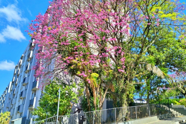 Apartamento à venda no Bairro do Jardim Santa Mônica na Avenida Santa Monica 593