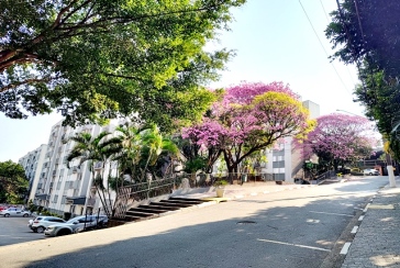 Apartamento à venda no Bairro do Jardim Santa Mônica na Avenida Santa Monica
