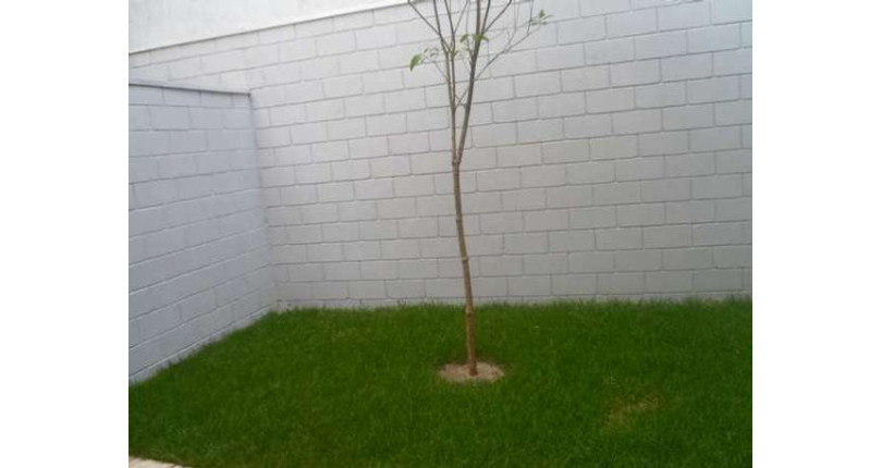 Sobrado à venda Rua Padre Justino Lombardi, Vila Pereira Cerca - Imóveis à Venda