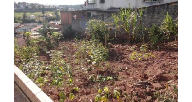Terreno à venda Rua Joaquim Oliveira Freitas, 2048, Vila Mangalot - Imóveis à Venda