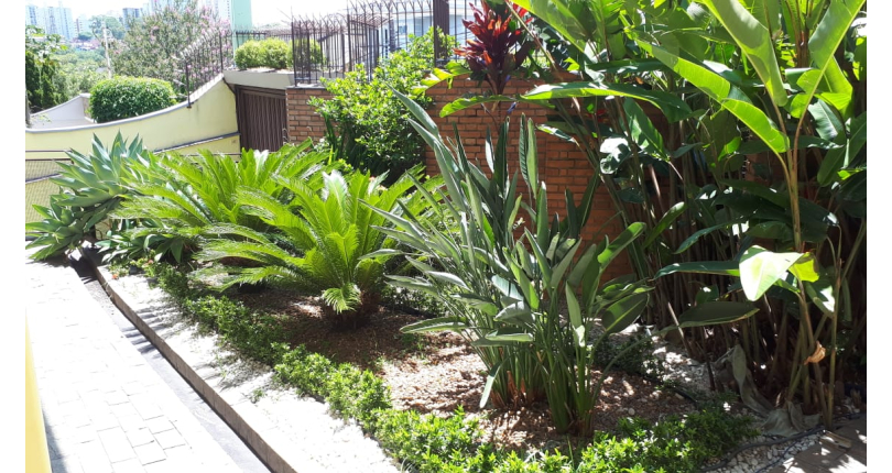 Sobrado à venda Rua Marco Antônio Montandon, City América - Imóveis à Venda