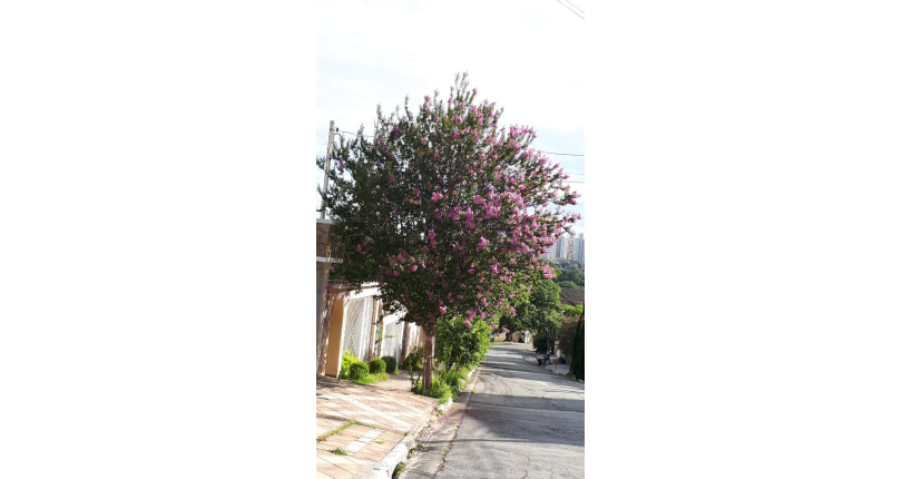 Sobrado à venda Rua Marco Antônio Montandon, City América - Imóveis à Venda